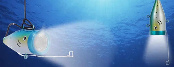 Ứng dụng camera quan sát dưới nước