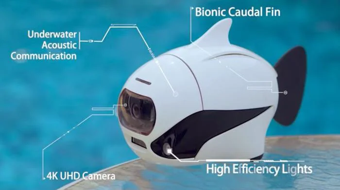Camera quan sát dưới nước
