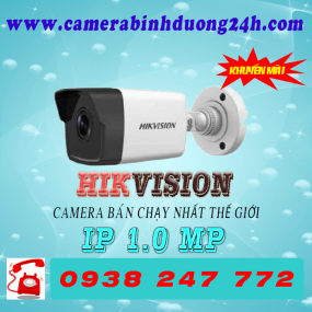 CAMERA IP DS-2CD1001-I