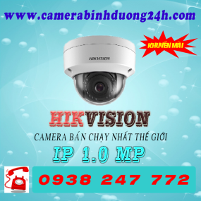 CAMERA IP DS-2CD1101-I