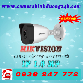 CAMERA IP DS-B3100VN