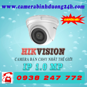 CAMERA IP DS-D3100VN