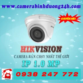CAMERA IP DS-D3100VN